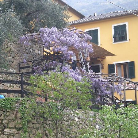 Agriturismo Il Sogno Lorsica Kültér fotó